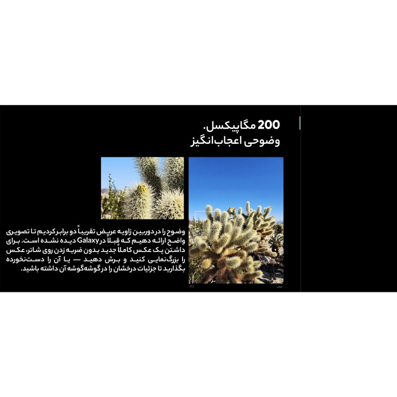 img-slider